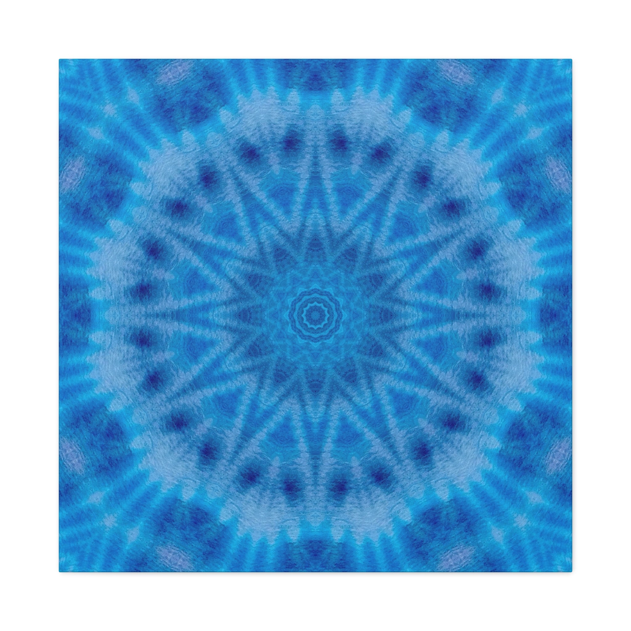 "AVIAN" Cymatic Canvas Art Print - Stretched Matte 1.25"