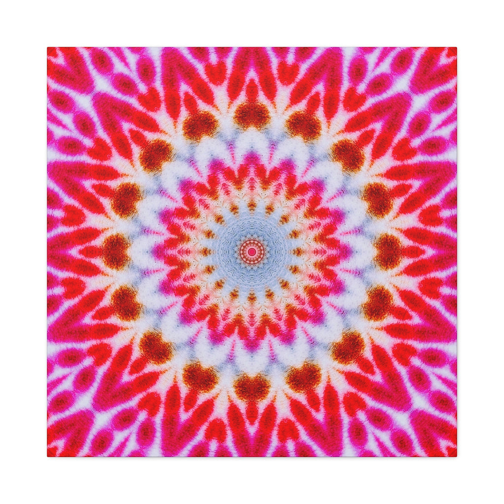"COM.PL3X" Cymatic Canvas Art Print - Stretched Matte 1.25"
